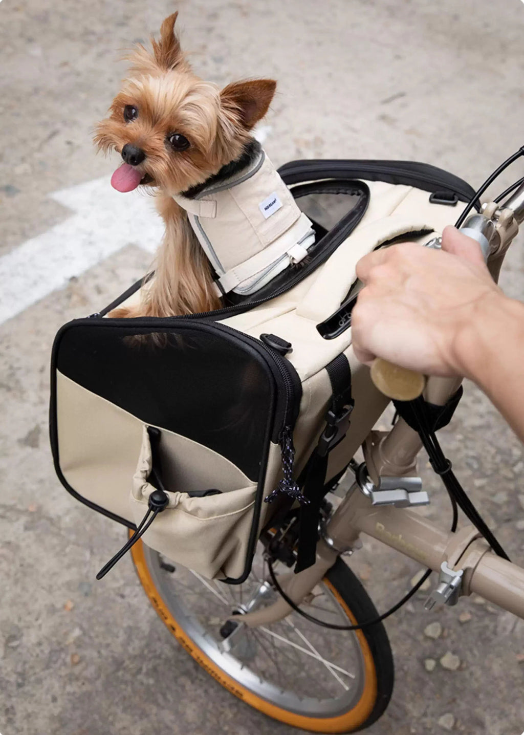 Bicycle Front Pet Carrier Bag