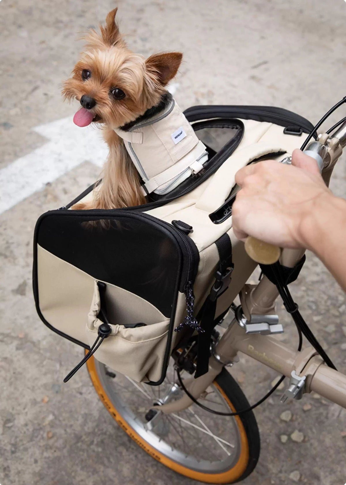 Bicycle Front Pet Carrier Bag